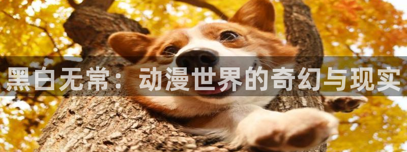 omofun动漫网站：黑白无常：动漫世界的奇幻与现实