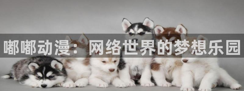 omofun动漫在线：嘟嘟动漫：网络世界的梦想乐园