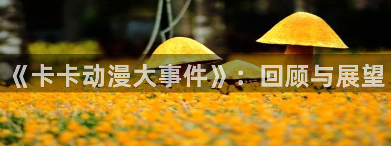 新闻图片